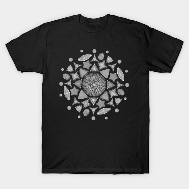 Black and White Diatom Mandala T-Shirt by StephJChild